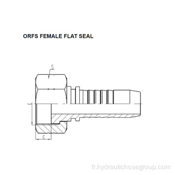 Joint plat femelle ORFS 24211